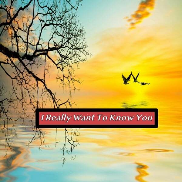 Cover art for I Really Want to Know You