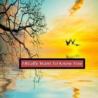 I Really Want to Know You